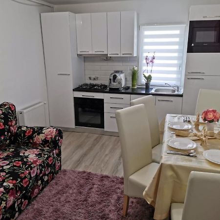 Tîrgu OcnaApartament Gold Luxuryアパートメント エクステリア 写真