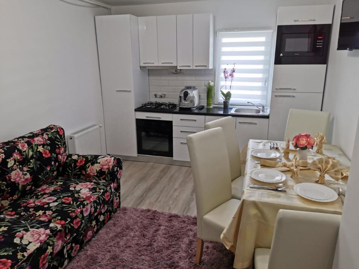 Tîrgu OcnaApartament Gold Luxuryアパートメント エクステリア 写真